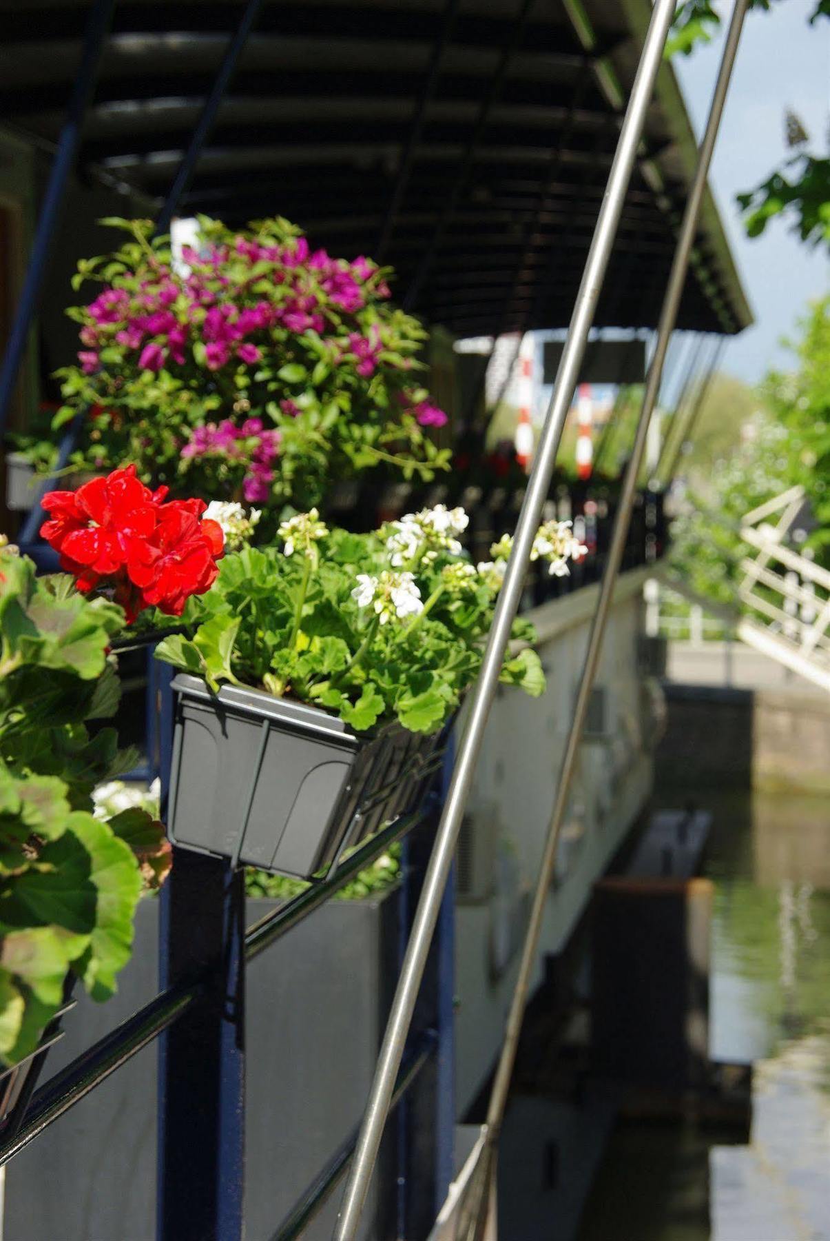 Floats By H2otel 3* Rotterdam